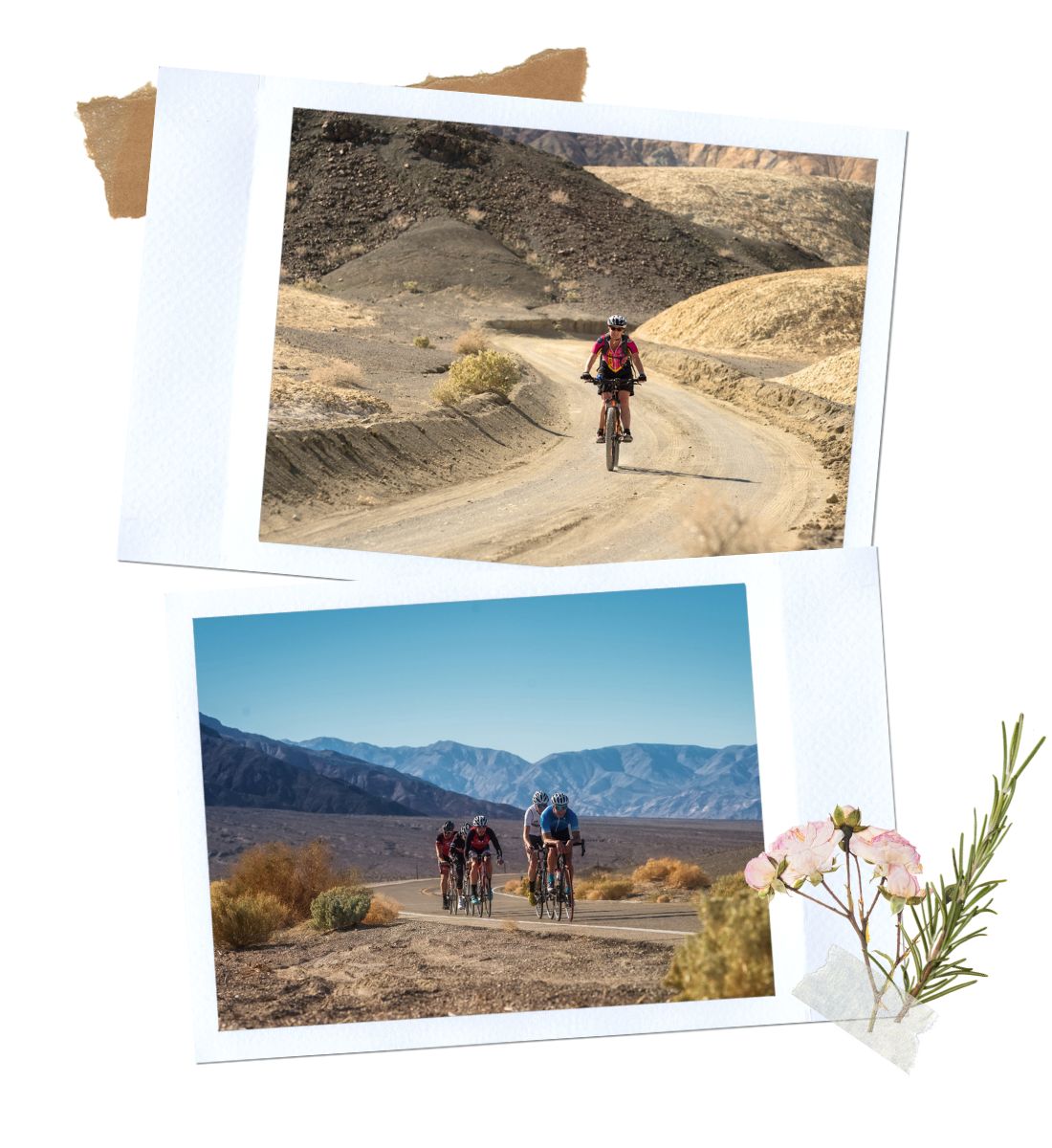 Biking & Mountain Biking - Things to do in Death Valley National Park