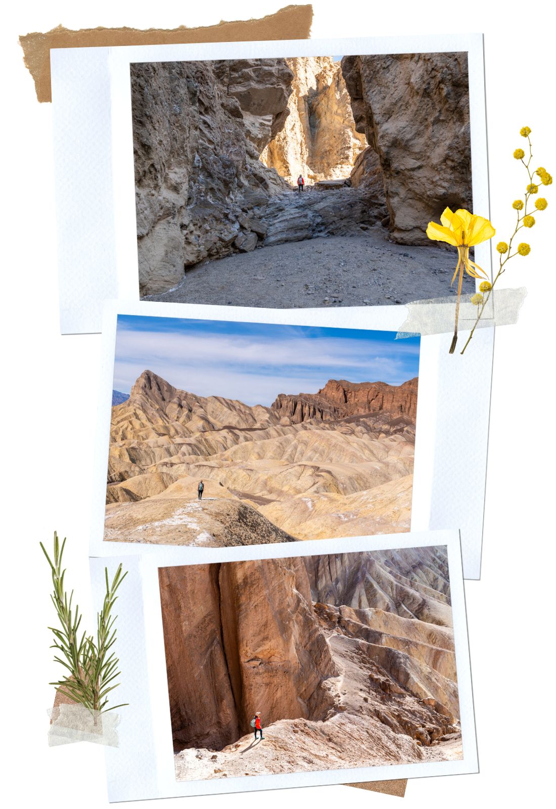 Golden Canyon Trail - Things to do in Death Valley National Park