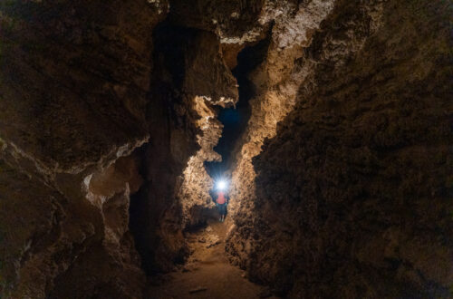 Goshute Cave in Nevada