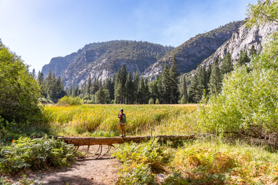 Zumwalt Meadow, Most Beautiful Meadow in Kings Canyon National Park