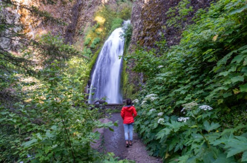 Columbia River Gorge Waterfall Corridor: Everything You Need to Know