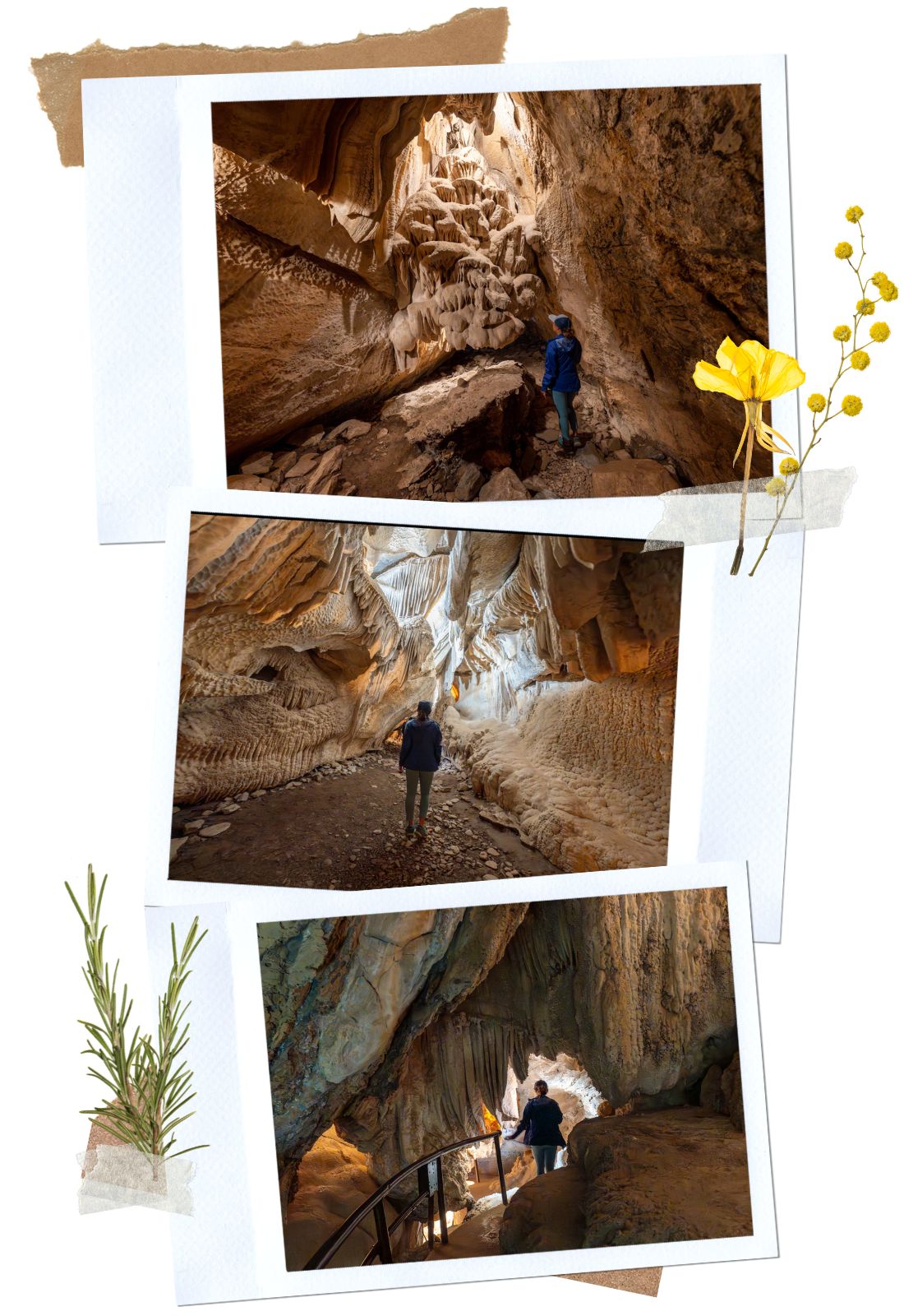 Boyden Cavern in Kings Canyon Scenic Byway in California