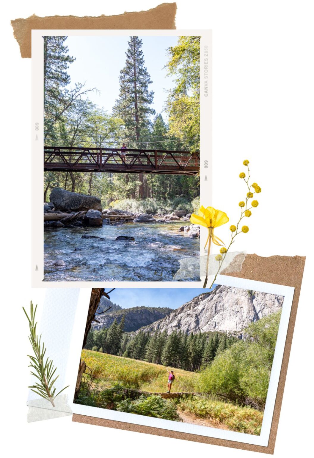 Kings Canyon Scenic Byway: Everything You Need to Know - Live That ...