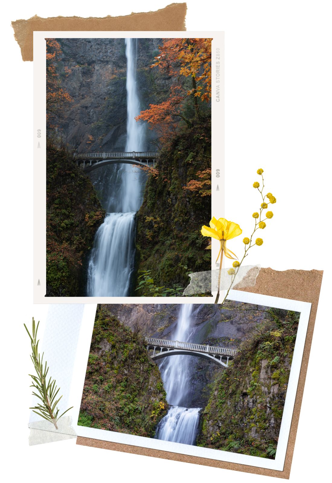 Multnomah Falls in Columbia River Gorge Waterfall Corridor, Oregon