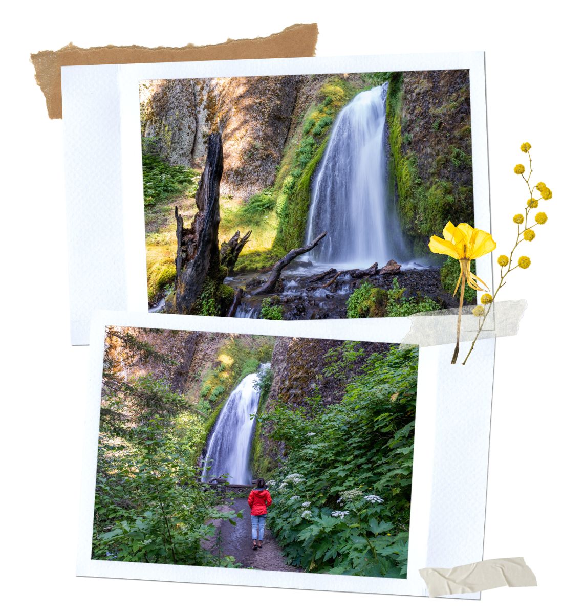 Wakeena Falls in Columbia River Gorge Waterfall Corridor, Oregon