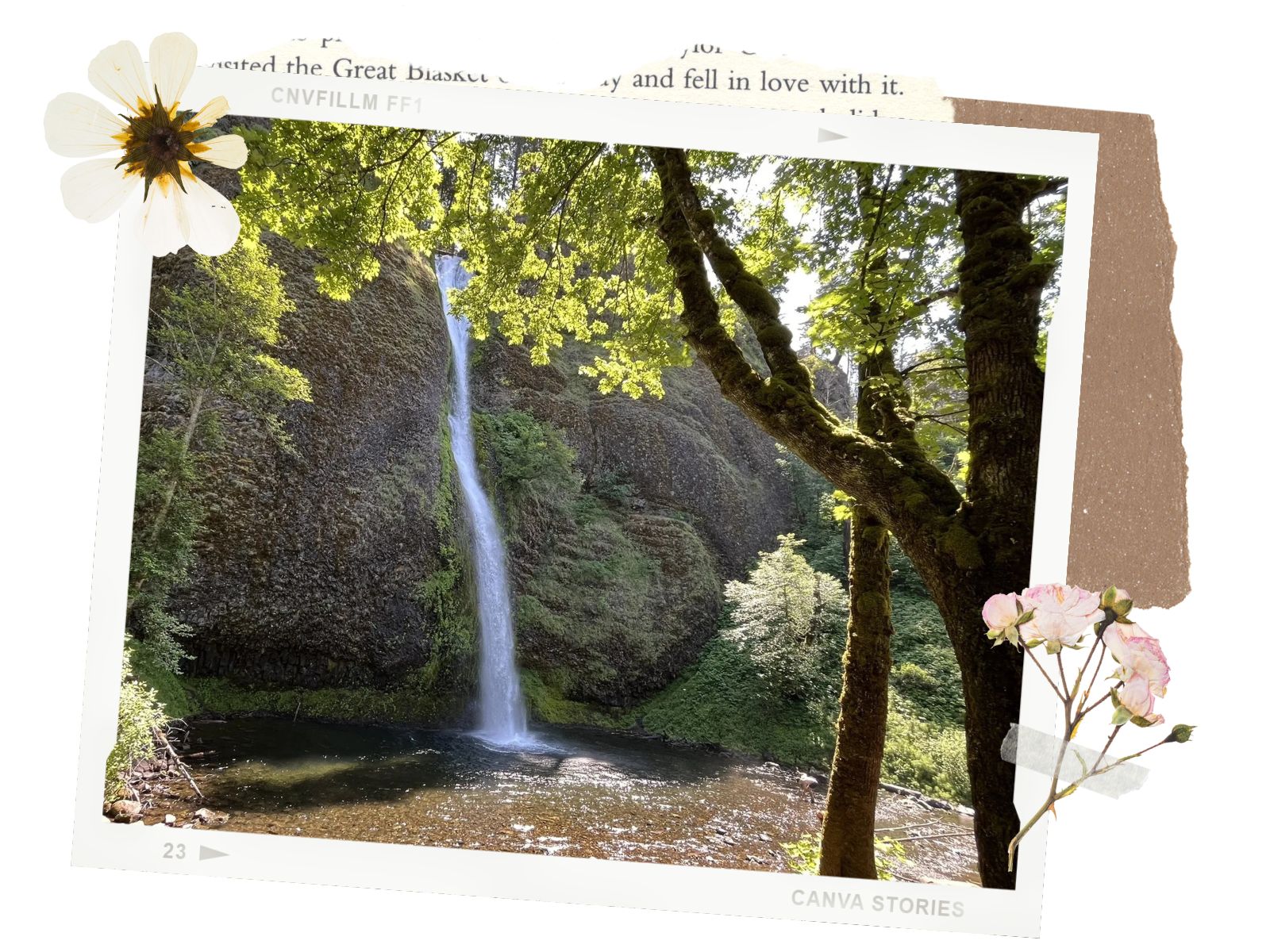 Horsetail Falls in Columbia River Gorge Waterfall Corridor, Oregon