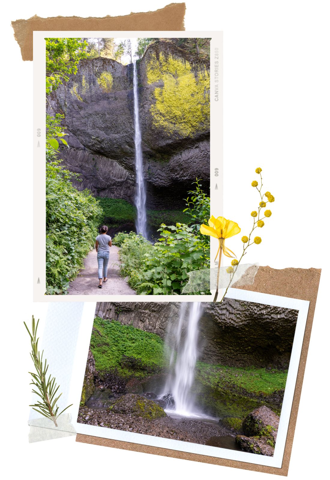 Latourell Falls at Columbia River Gorge Waterfall Corridor, Oregon