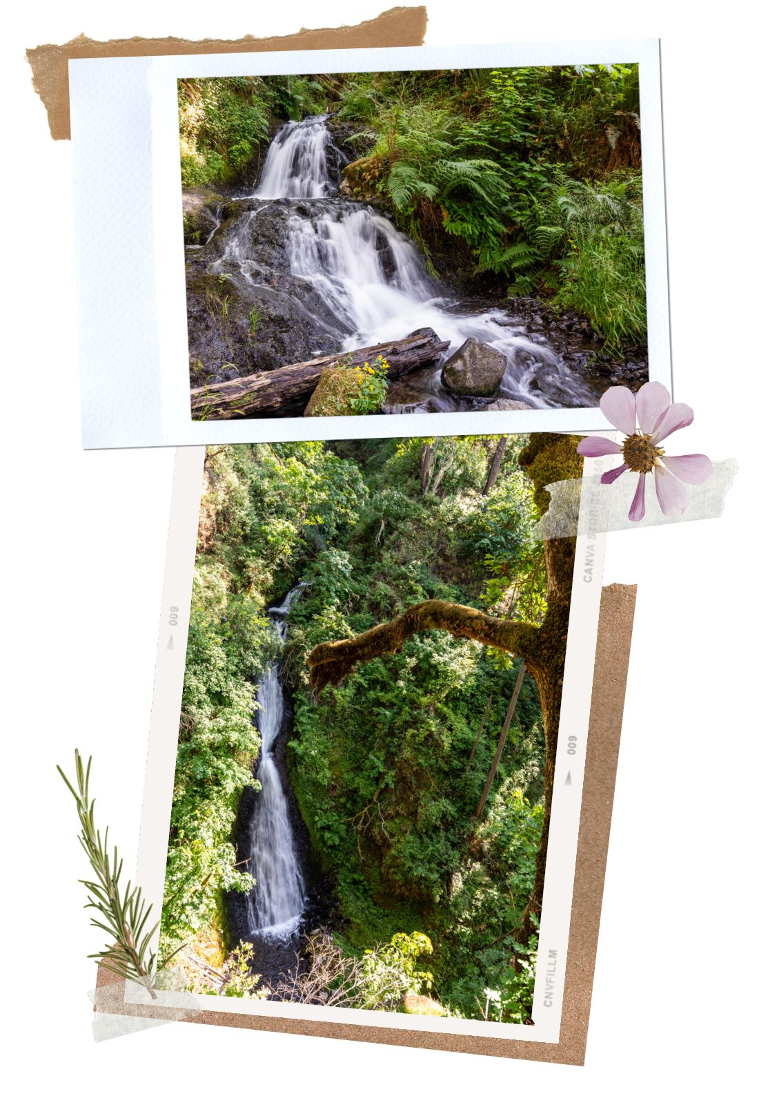 Shepperds Dell at Columbia River Gorge Waterfall Corridor, Oregon