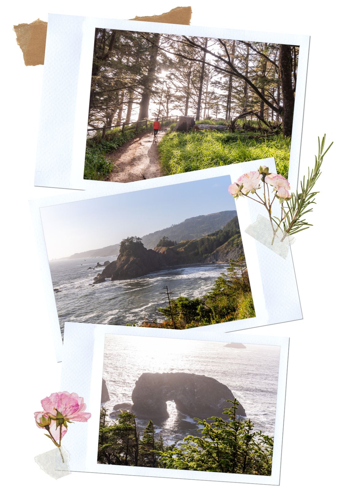 Arch Rock - Samuel H. Boardman Scenic Corridor, Oregon
