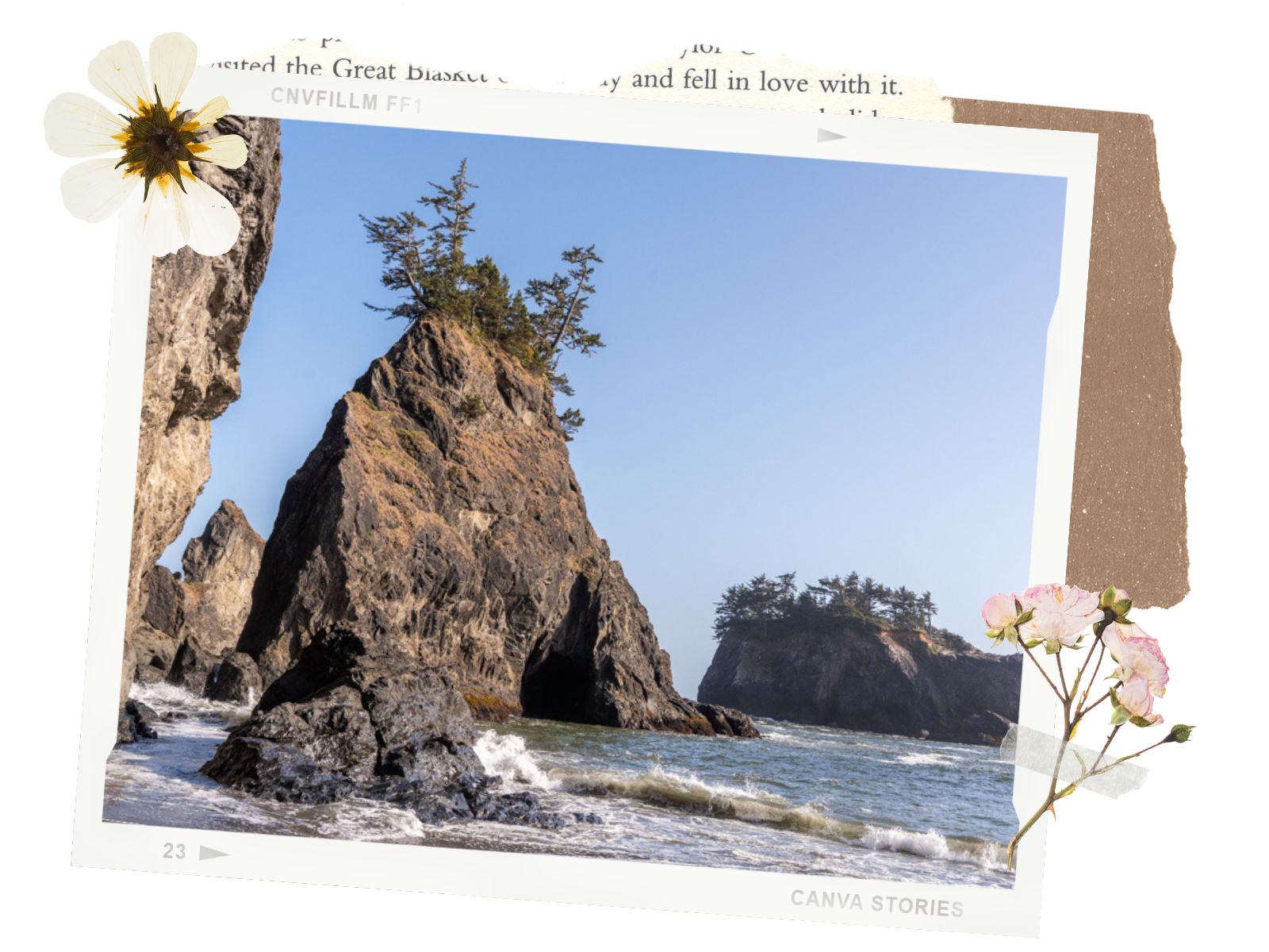 Best Time to go - Samuel H. Boardman Scenic Corridor, Oregon