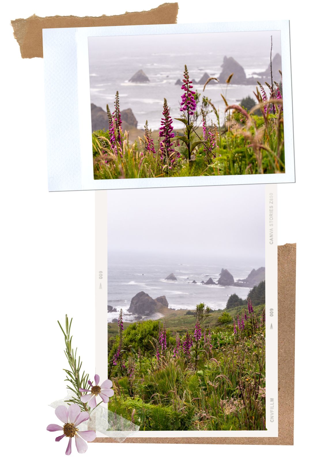 Cape Ferrelo - Samuel H. Boardman Scenic Corridor, Oregon