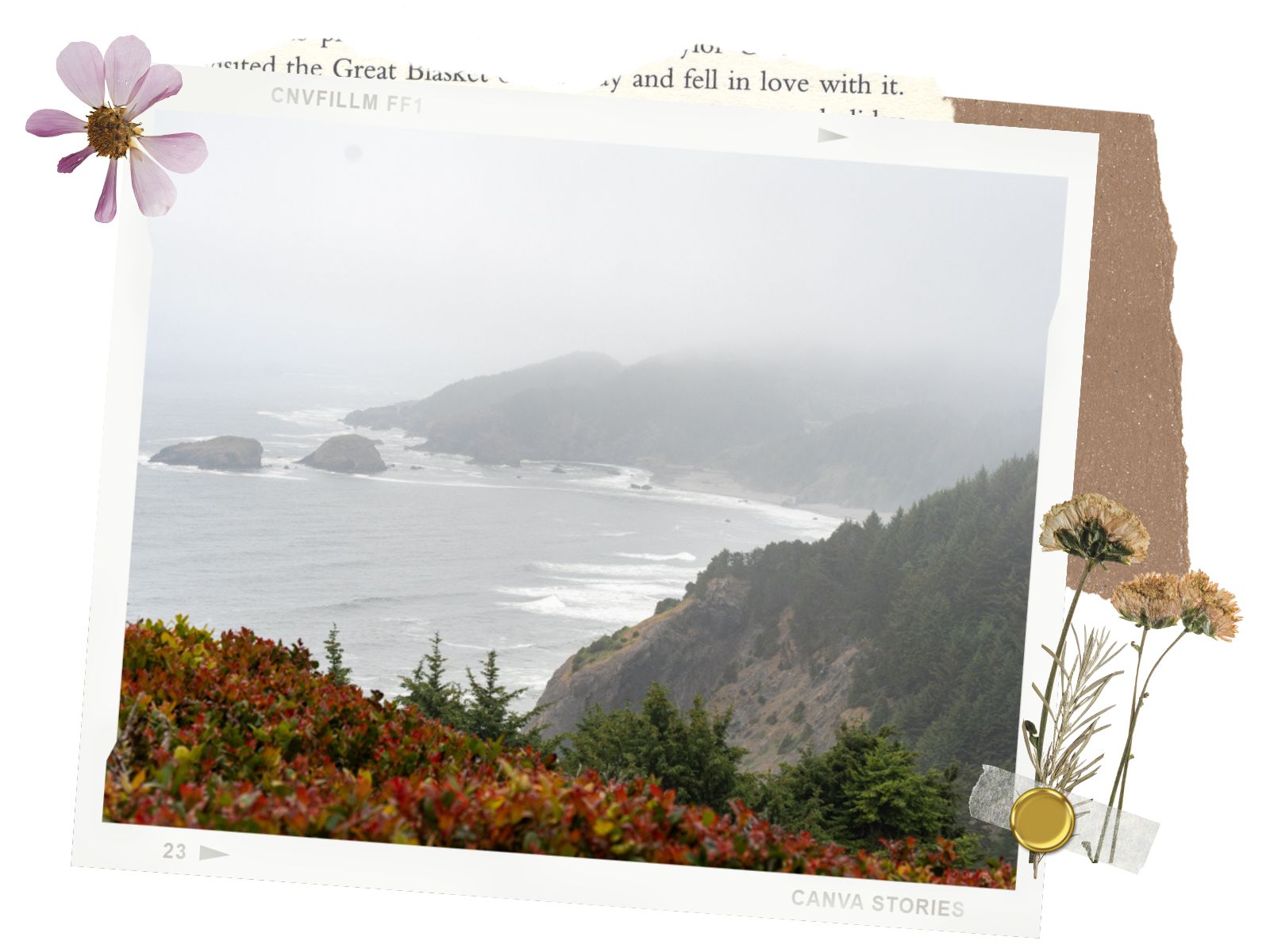 House Rock View Point - Samuel H. Boardman Scenic Corridor, Oregon