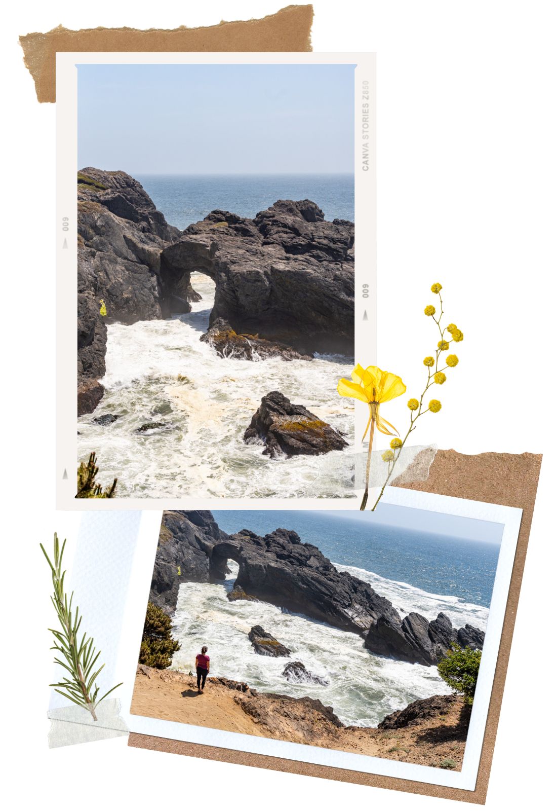 Indian Sands - Samuel H. Boardman Scenic Corridor, Oregon