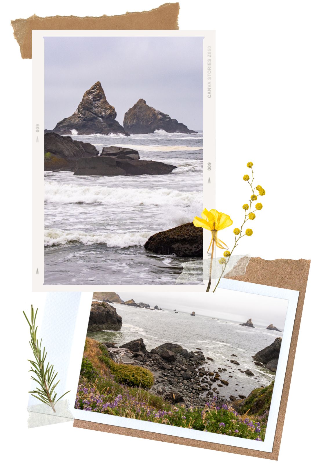 Lone Ranch Beach - Samuel H. Boardman Scenic Corridor, Oregon