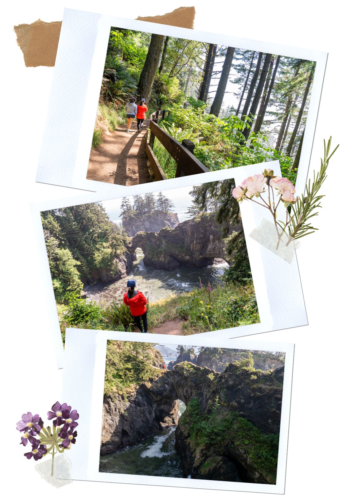 Natural Bridges - Samuel H. Boardman Scenic Corridor, Oregon