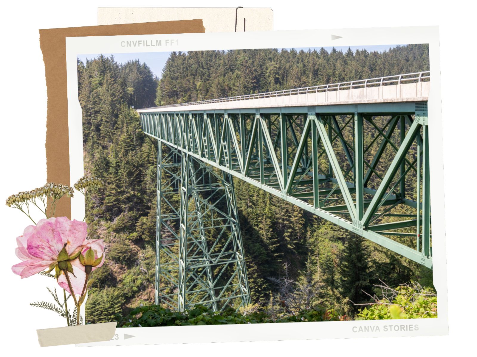 Thomas Creek Bridge - Samuel H. Boardman Scenic Corridor, Oregon