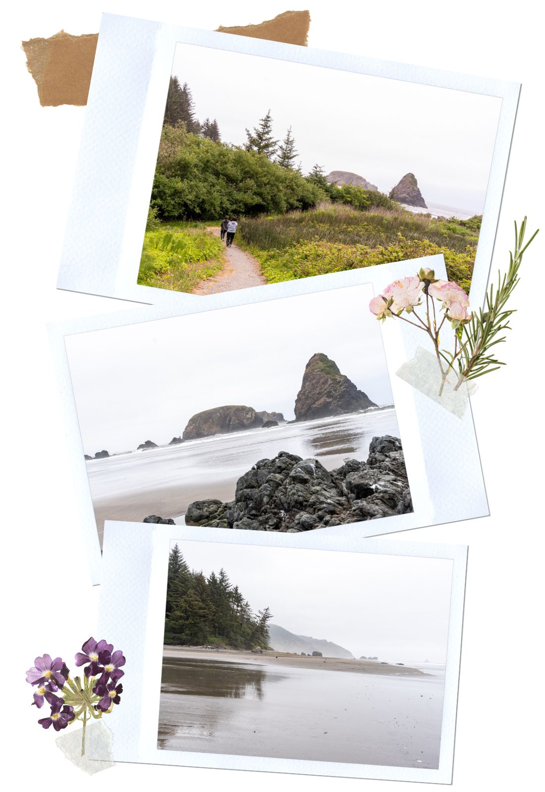Whaleshead Beach - Samuel H. Boardman Scenic Corridor, Oregon