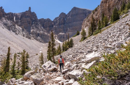 Bristlecone to Glacier, the Best Trail in Great Basin National Park