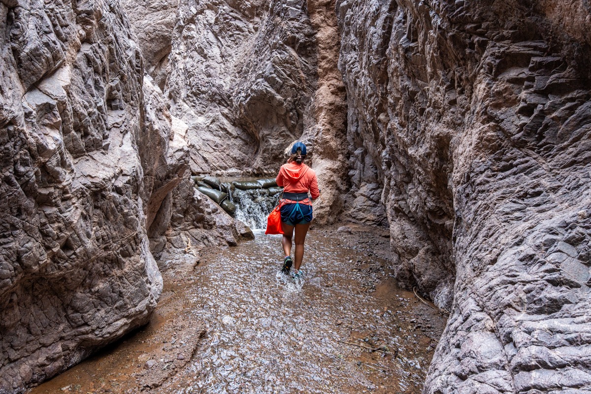 Boy Scout Canyon in Nevada
