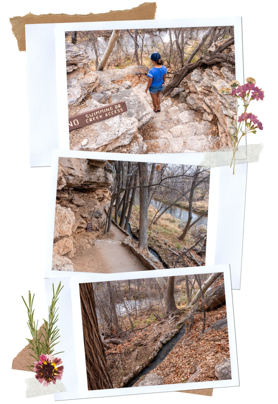 Montezuma Well in Arizona: To Beaver Creek