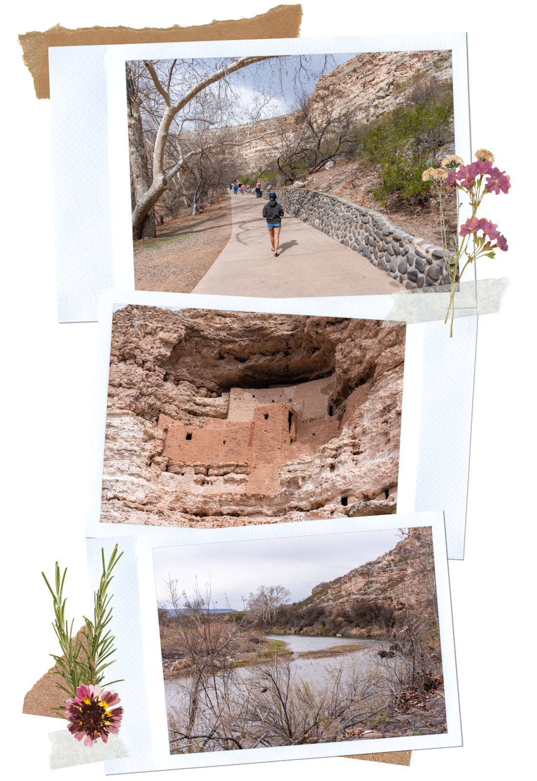 Montezuma Castle in Arizona