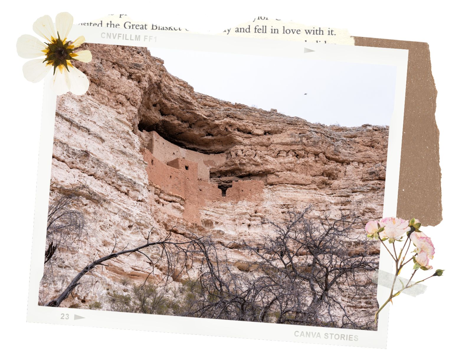 Information for Montezuma Castle and Montezuma Well, Arizona