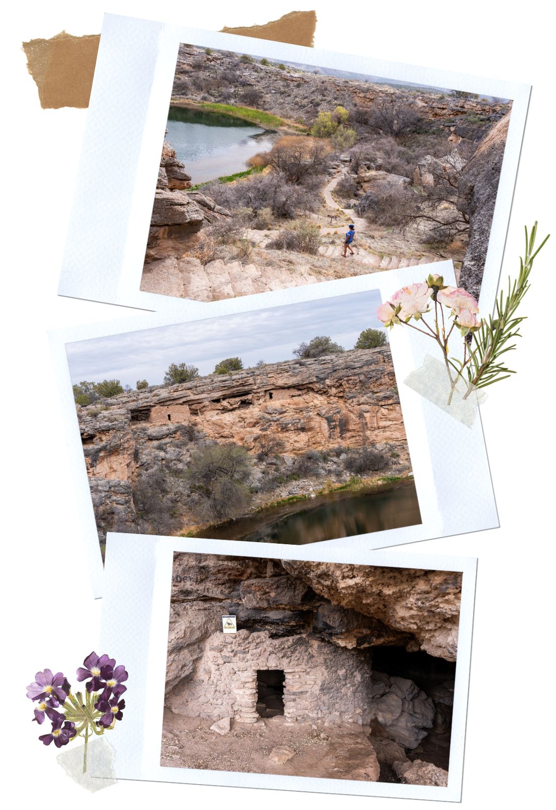 Montezuma Well in Arizona: Swallet Ruins