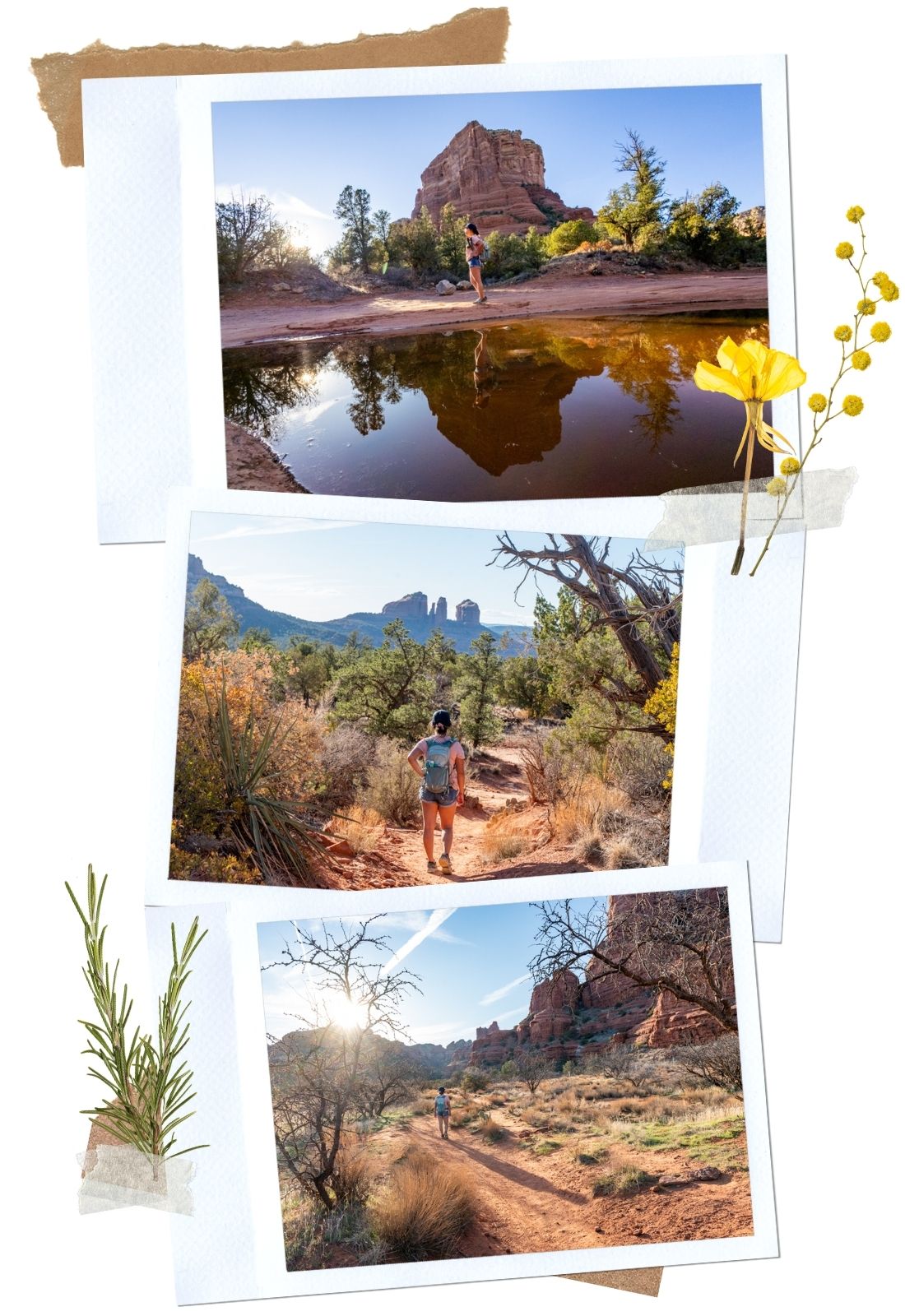 Courthouse Butte & Bell Rock Loop Trail: 5 Amazing Beginner Hikes in Sedona, AZ