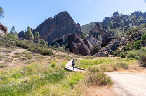 Complete Guide for First-Timers to Visit Pinnacles National Park