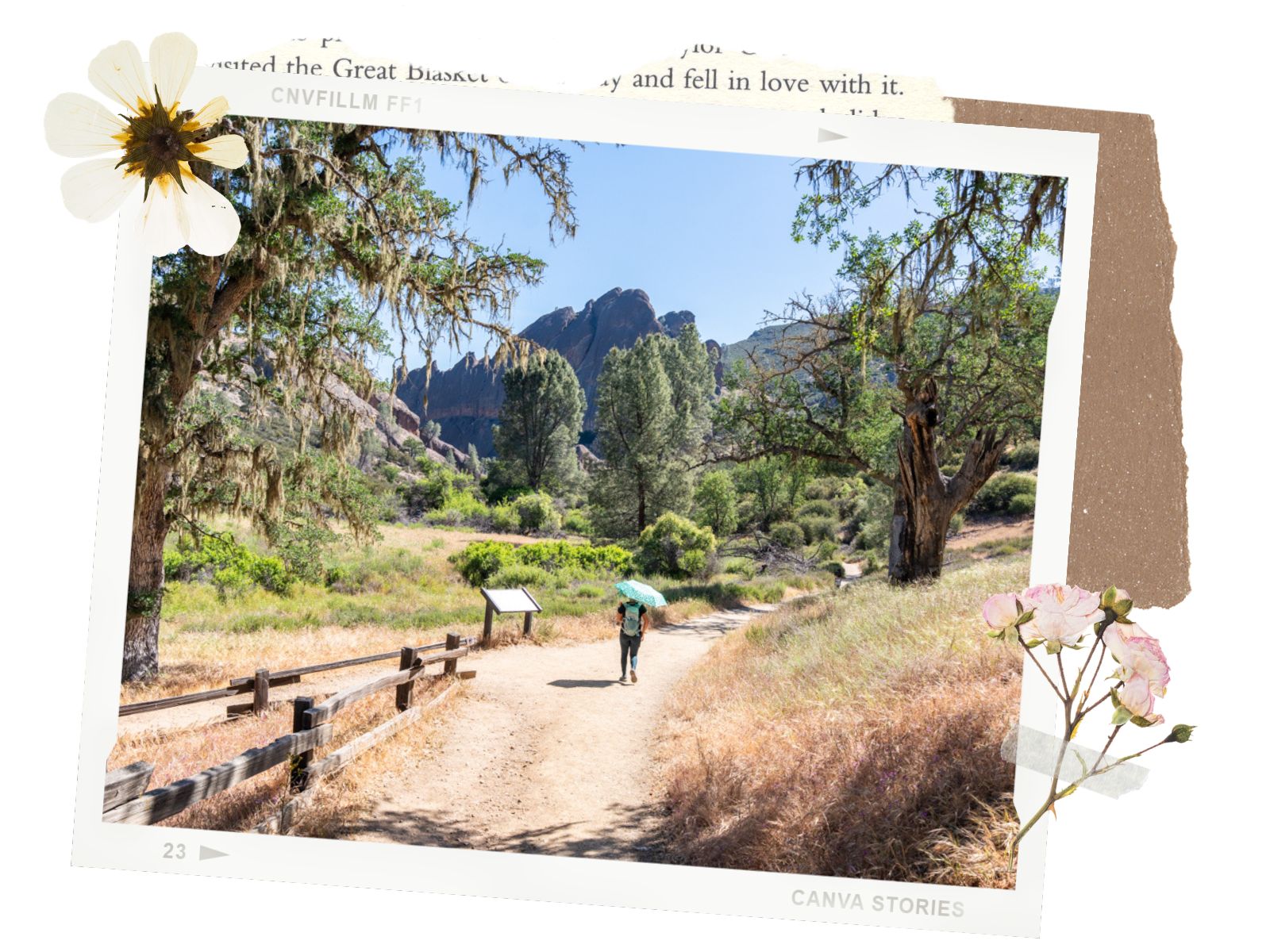 Pinnacles National Park in Central California