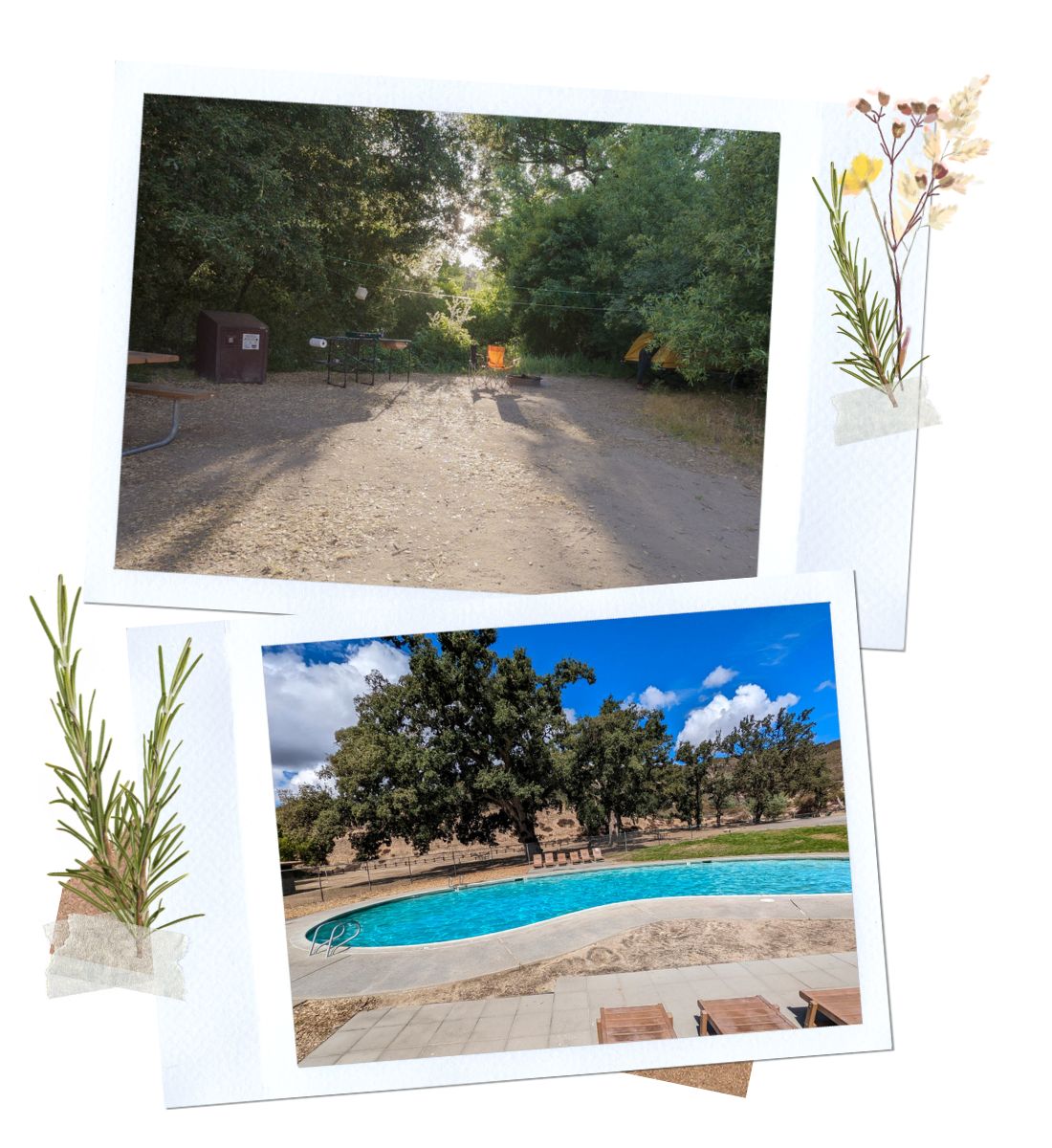 Camping at Pinnacles National Park in Central California