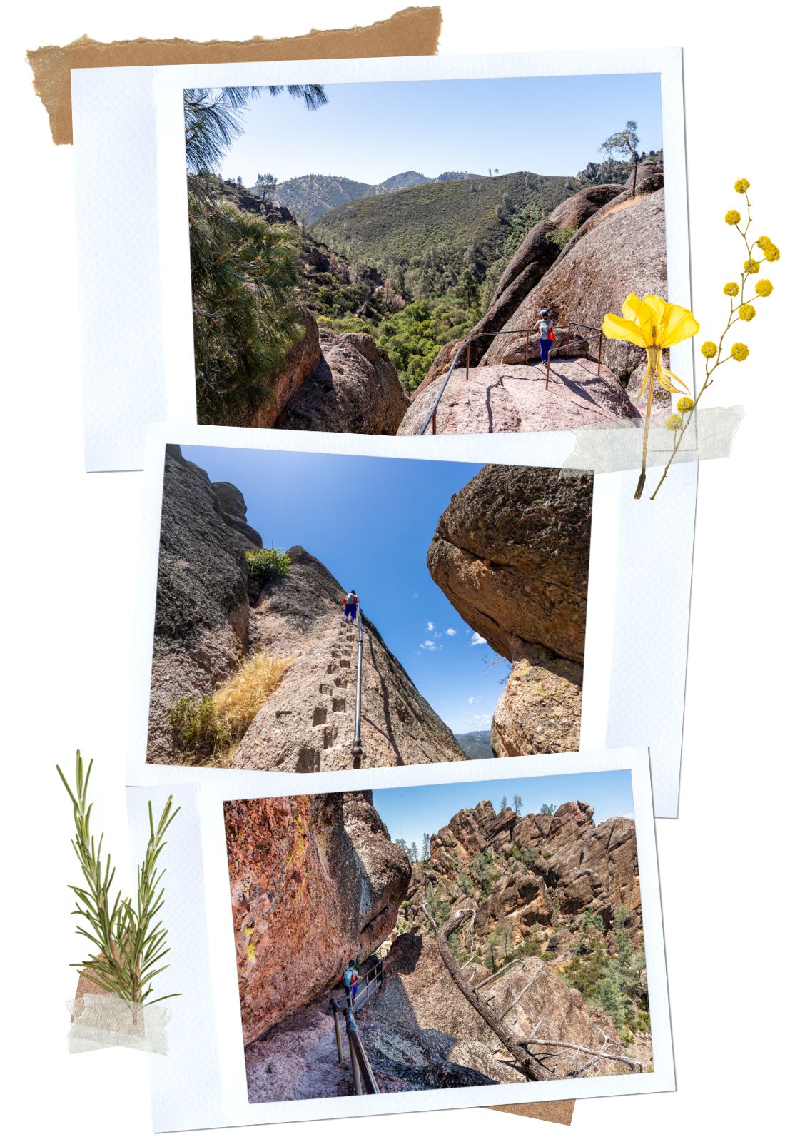 Condor Gulch to High Peaks trail at Pinnacles National Park