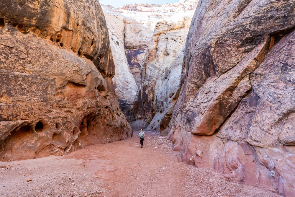 How to Hike Grand Wash Trail, Capitol Reef NP