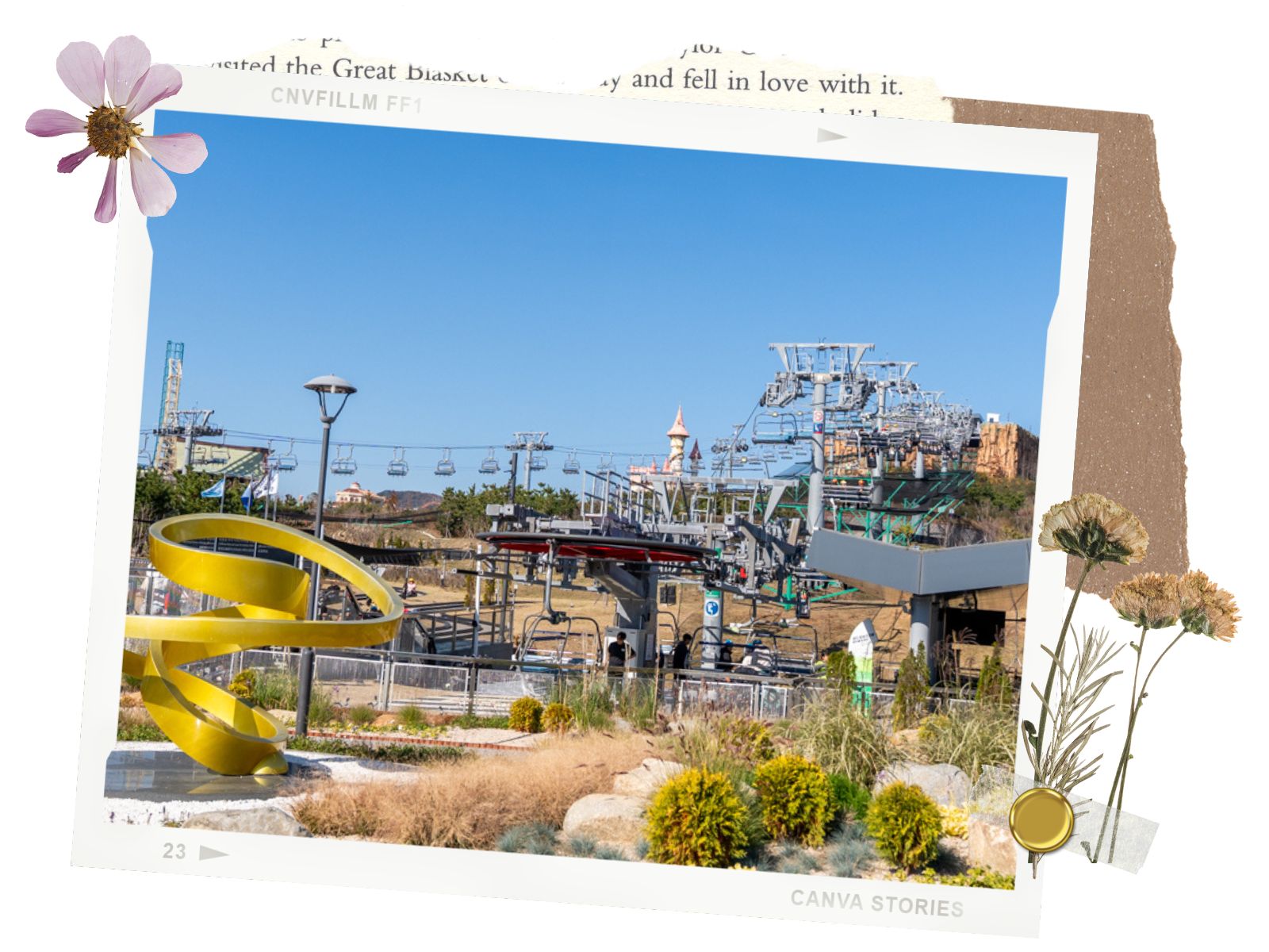 Important Info about Busan Skyline Luge