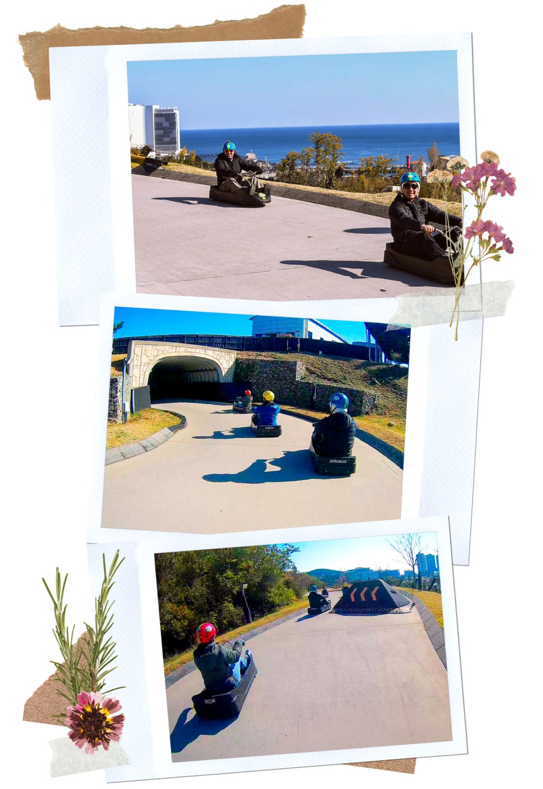 Luge ride on Busan Skyline Luge, Busan, Korea