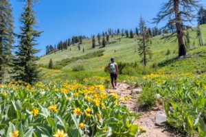 How to Hike Mill Creek Falls Trail, Lassen Volcanic National Park
