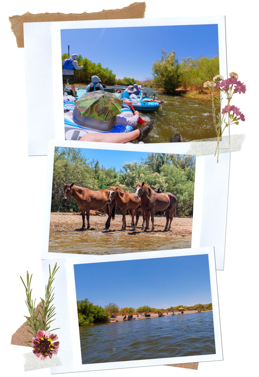 On the way to Goldfield on the Salt River Float in Mesa, Arizona