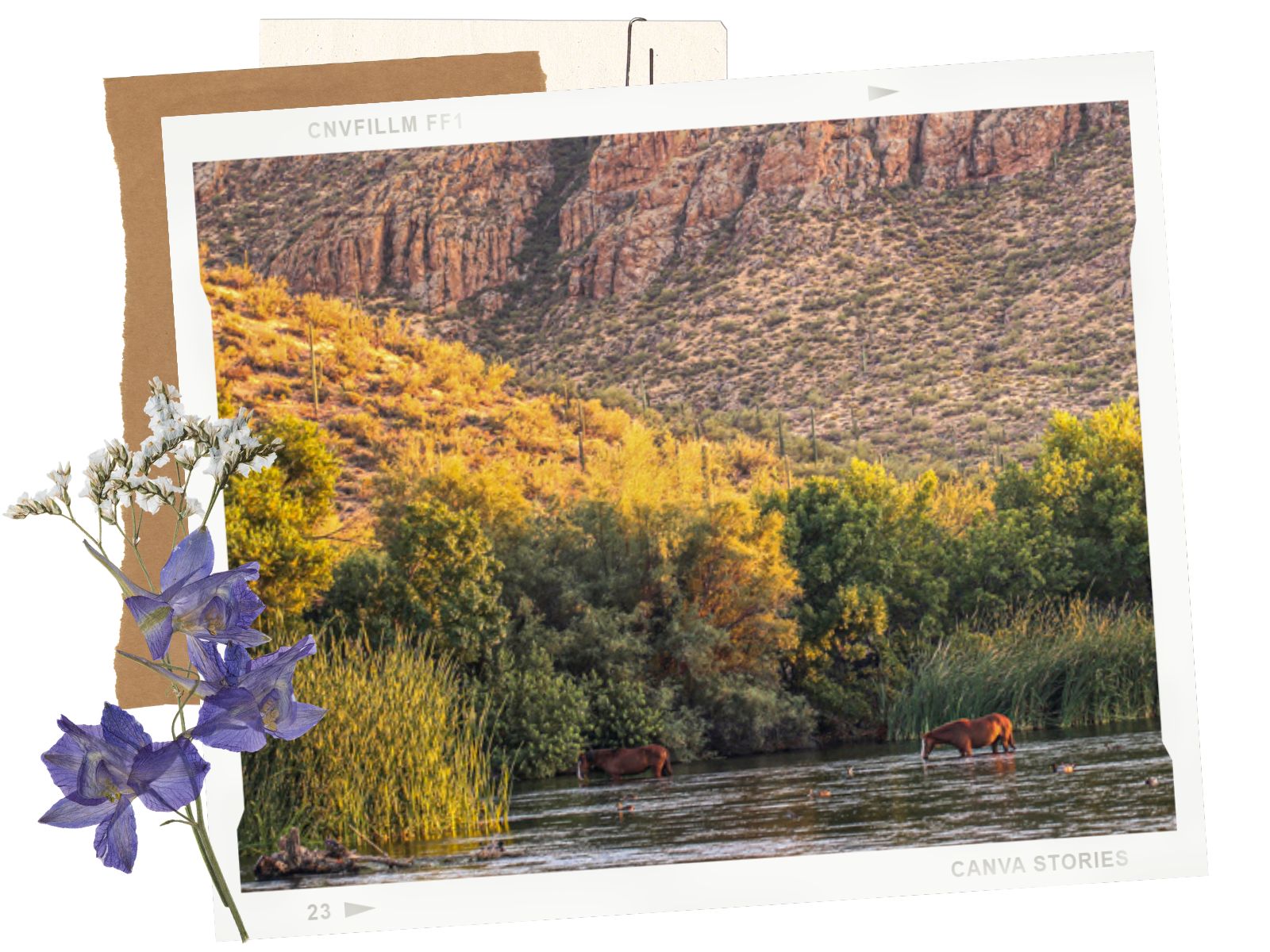 orse on Salt River Float in Mesa, Arizona