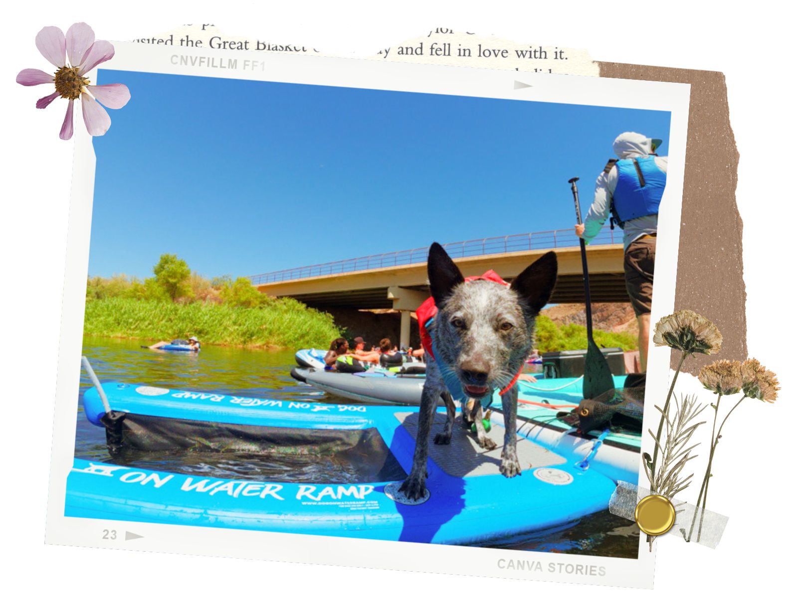 Can you bring pets | Salt River Float, Mesa, Arizona