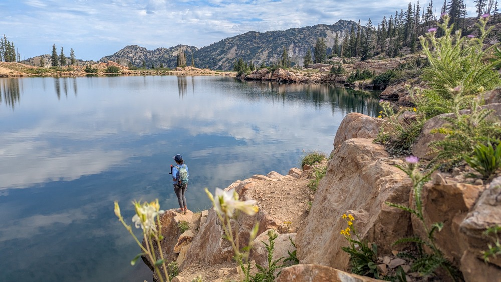Albion Meadows to Cecret Lake in Alta, UT
