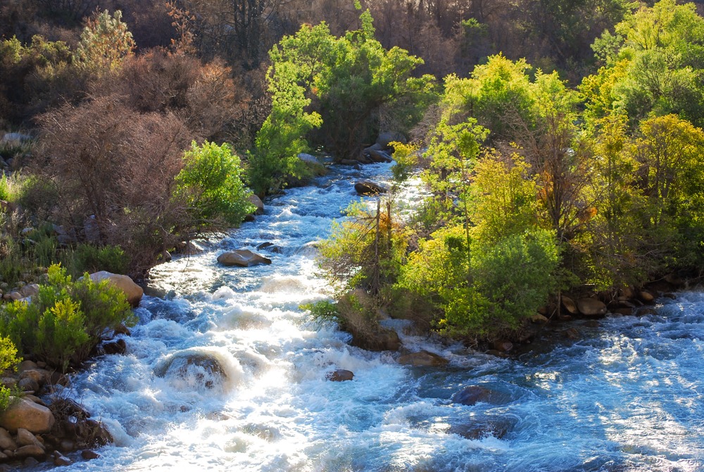 Best time to go Whitewater Rafting the Big Five on Lower Kern River