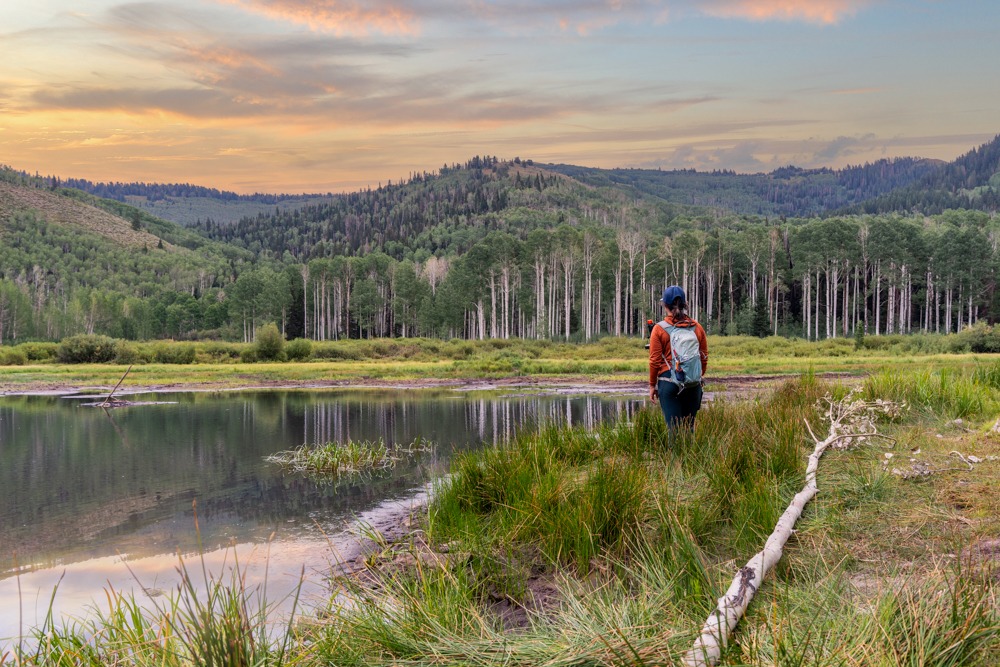Willow Heights to Willow Lake Trail, Big Cottonwood Canyon, UT